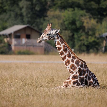 Hotel Knuthenborg Safaripark Maribo Esterno foto
