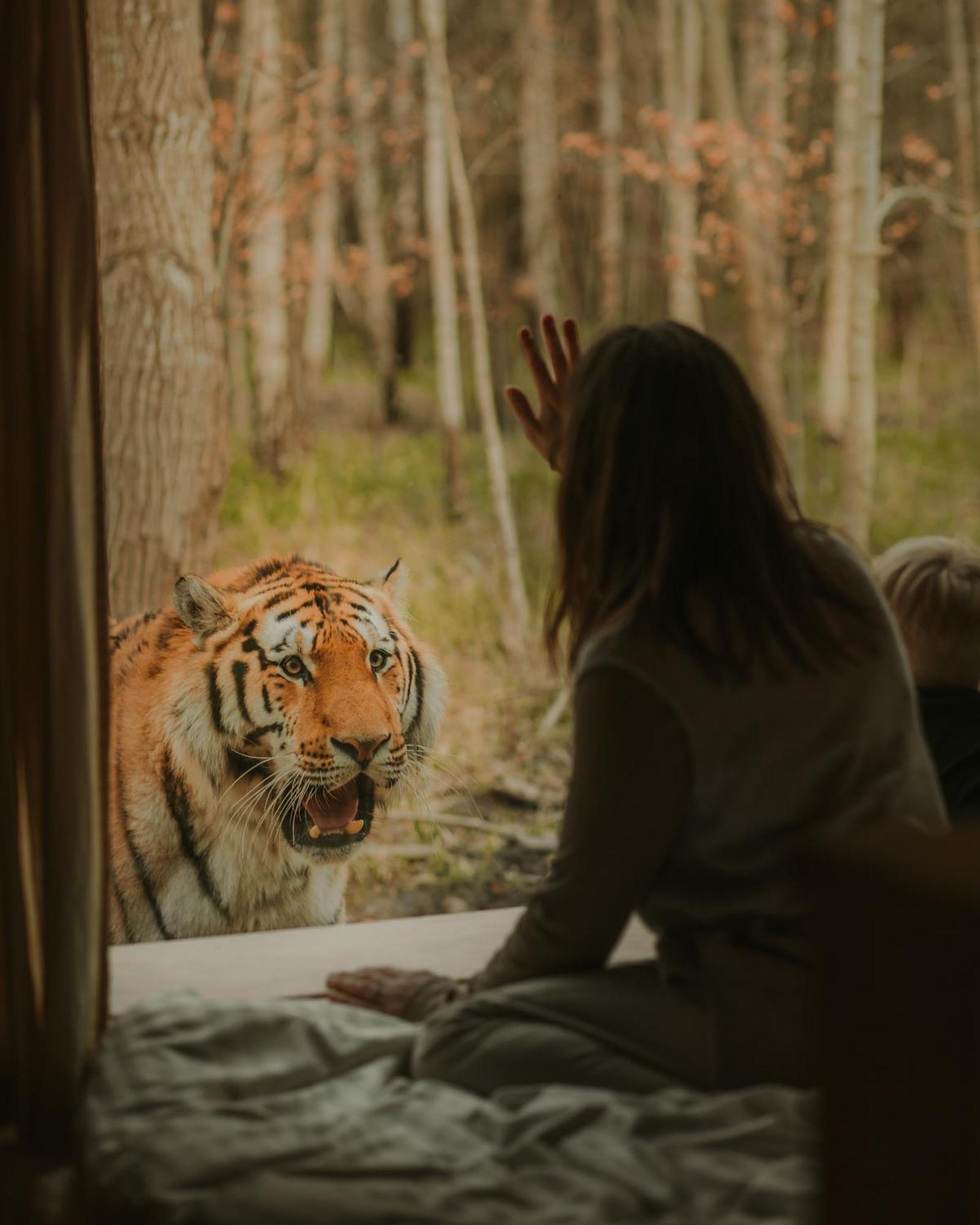 Hotel Knuthenborg Safaripark Maribo Esterno foto