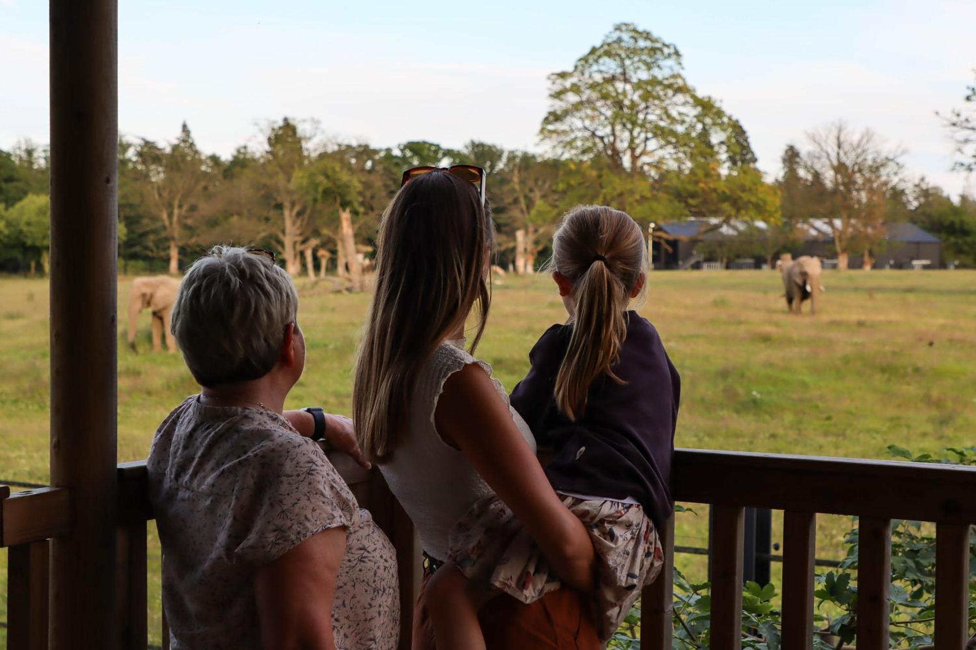 Hotel Knuthenborg Safaripark Maribo Esterno foto