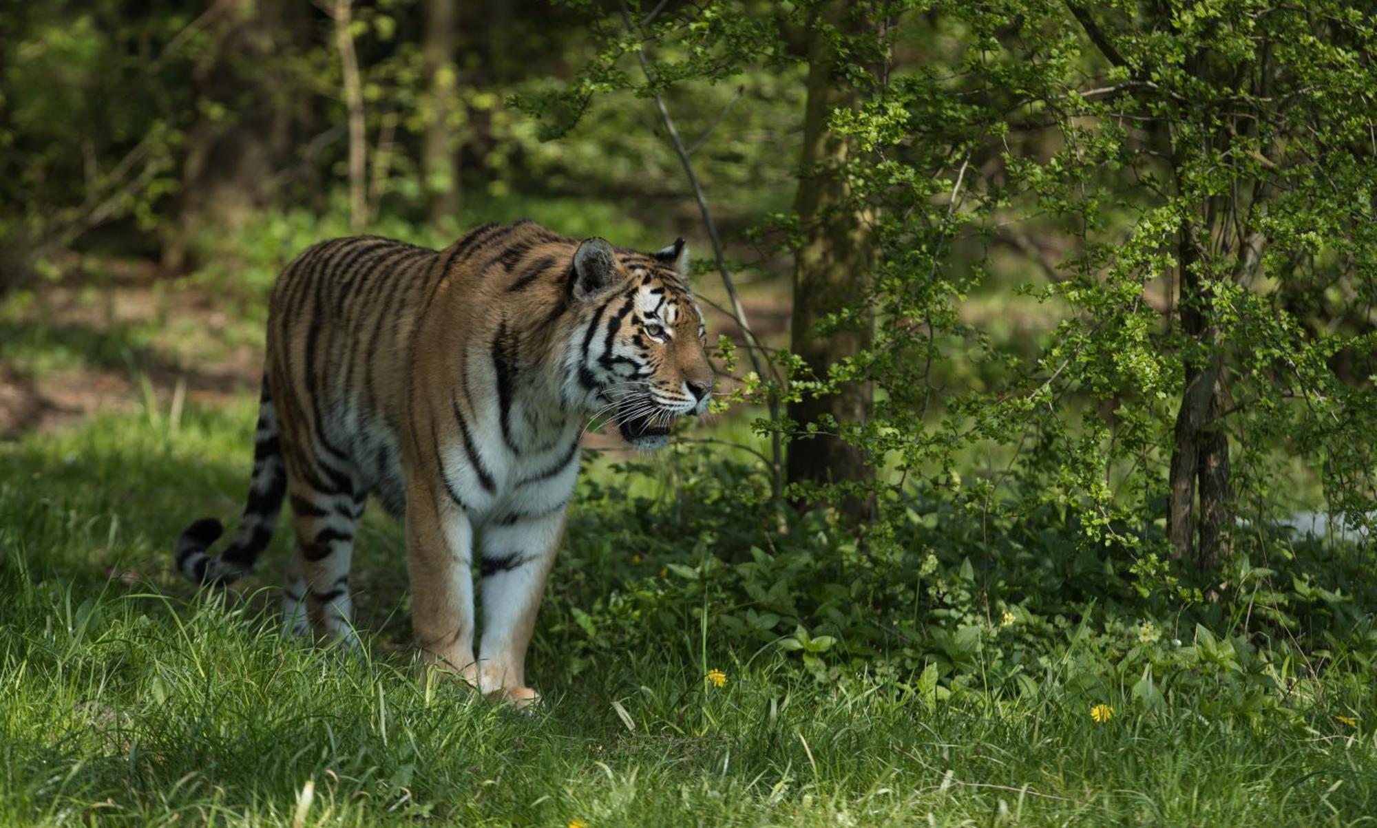 Hotel Knuthenborg Safaripark Maribo Esterno foto