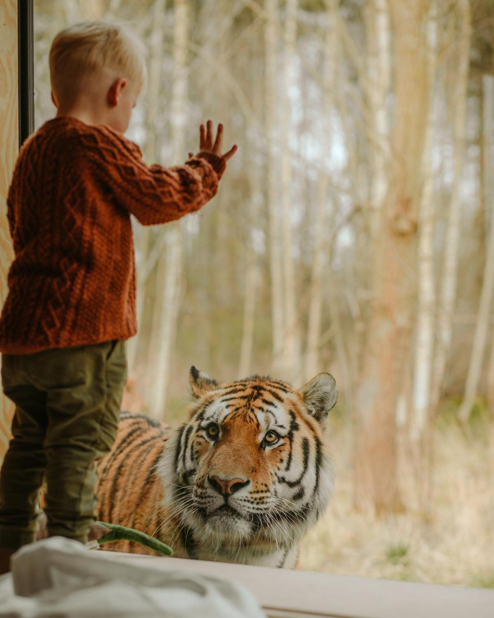 Hotel Knuthenborg Safaripark Maribo Esterno foto