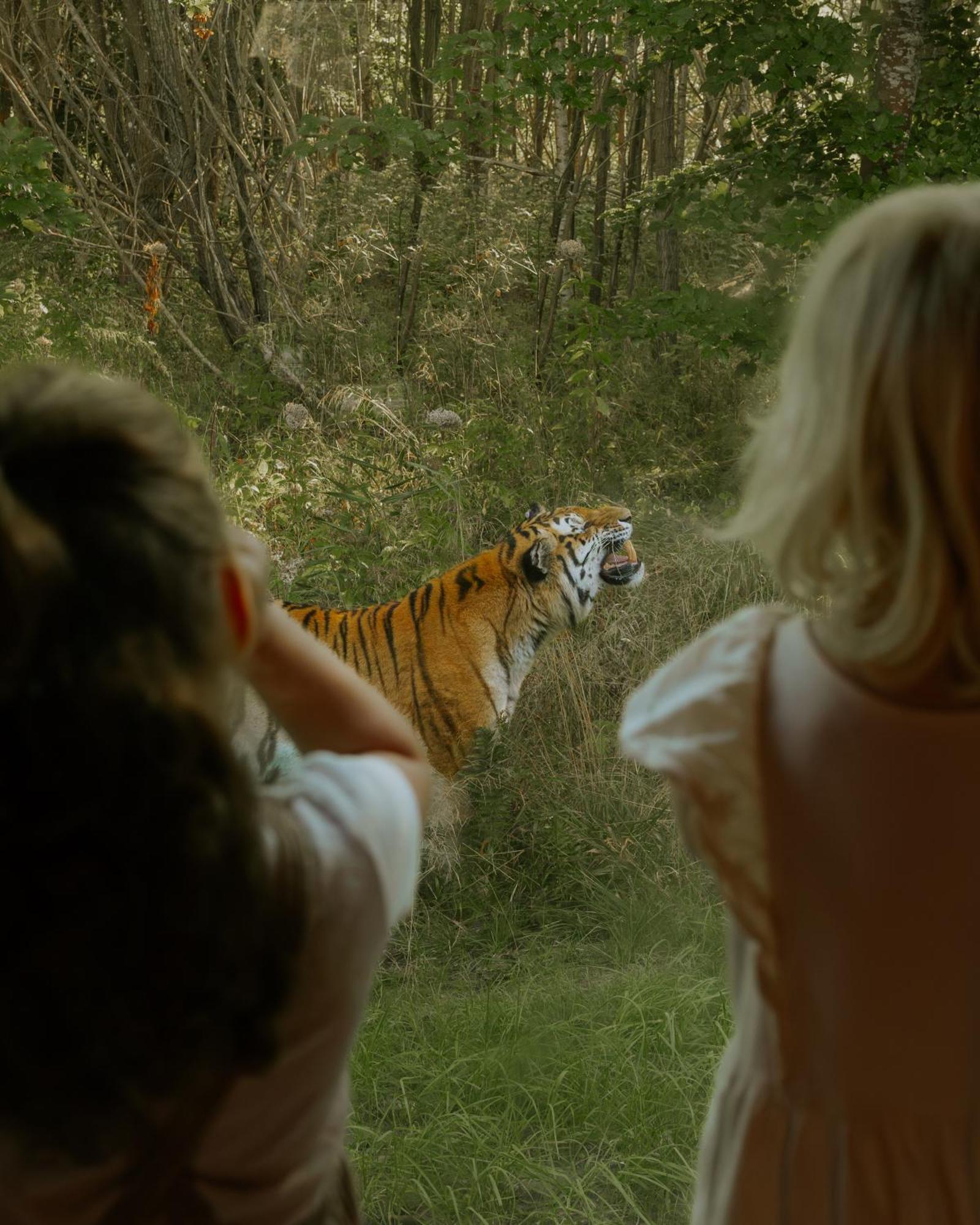 Hotel Knuthenborg Safaripark Maribo Esterno foto