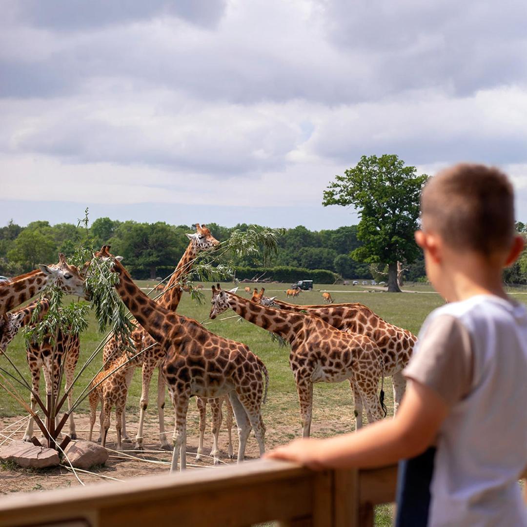 Hotel Knuthenborg Safaripark Maribo Esterno foto