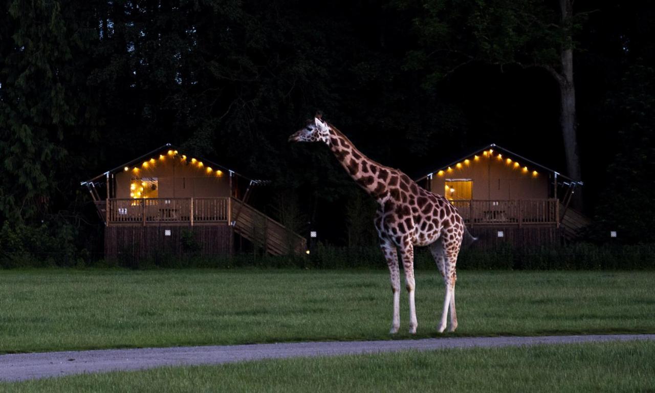 Hotel Knuthenborg Safaripark Maribo Esterno foto