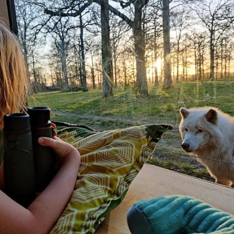 Hotel Knuthenborg Safaripark Maribo Esterno foto