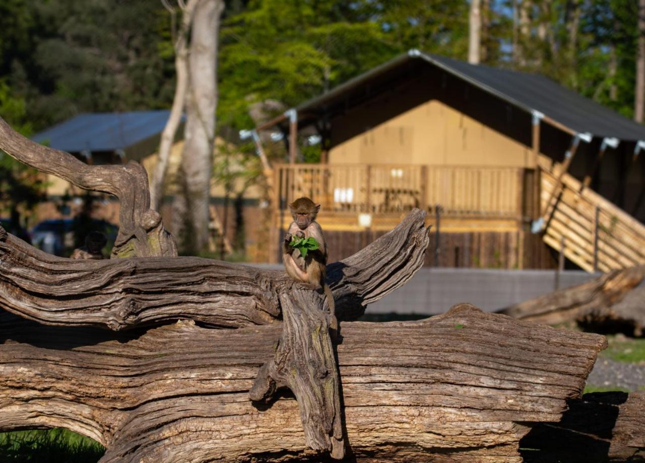 Hotel Knuthenborg Safaripark Maribo Esterno foto