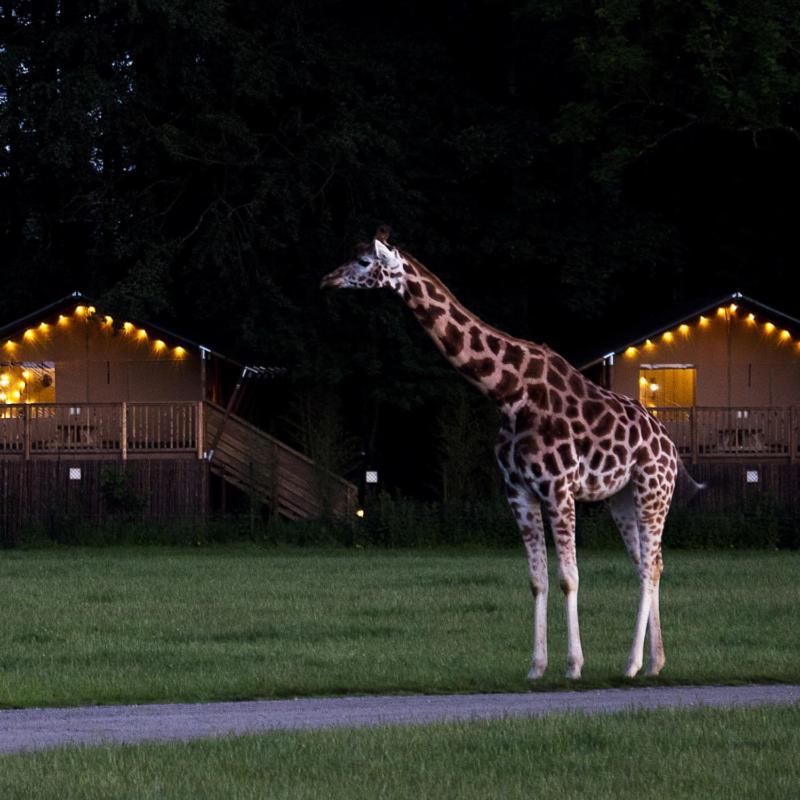 Hotel Knuthenborg Safaripark Maribo Esterno foto