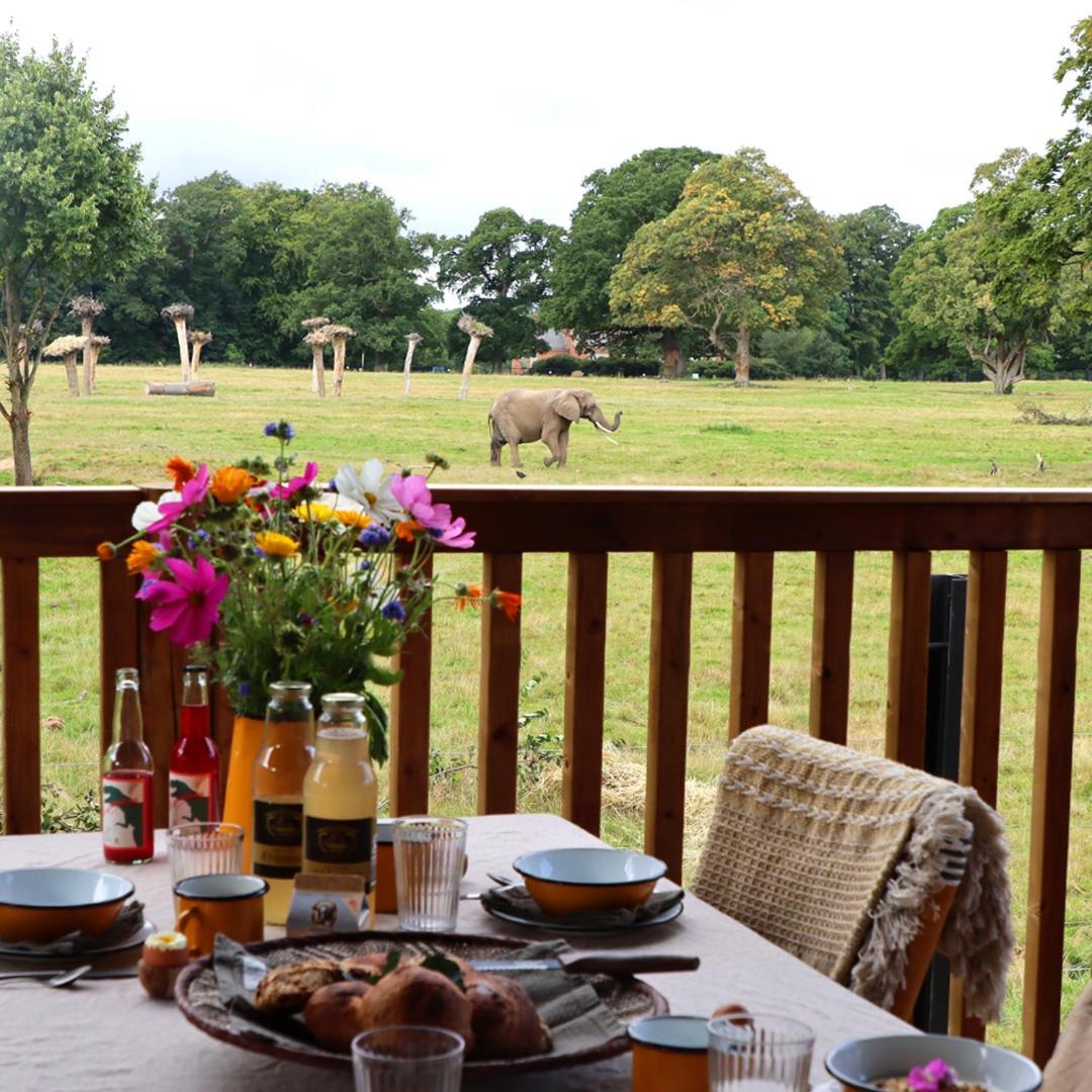 Hotel Knuthenborg Safaripark Maribo Esterno foto