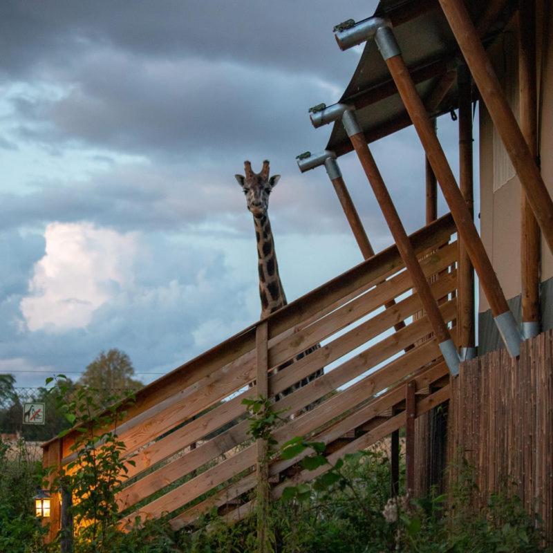 Hotel Knuthenborg Safaripark Maribo Esterno foto